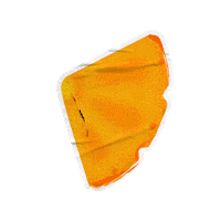 Orange Leaves Sticker by Extrafruti