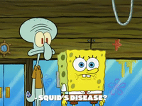 season 8 episode 21 GIF by SpongeBob SquarePants