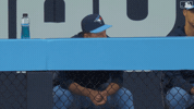 Louis V Mlb GIF by Toronto Blue Jays