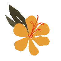 DelilahtheGemini flower tropical hawaii hibiscus Sticker