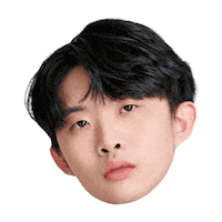 Fw Flashwolves Sticker