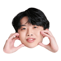 Fw Flashwolves Sticker