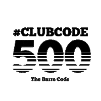 Fitness Studio Sticker by The Barre Code