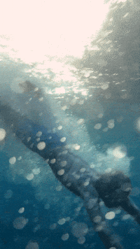 Music Video Camera GIF by Ed Sheeran