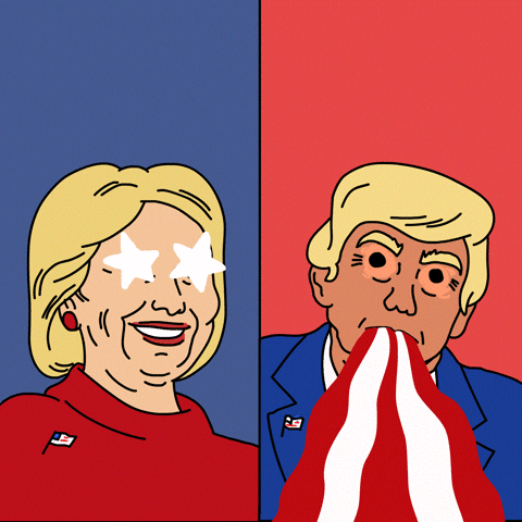 donald trump GIF by AOK