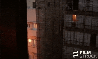 chantal akerman window GIF by FilmStruck