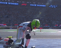 Formula 1 Win GIF