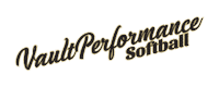 The Vault Baseball Sticker by the vault performance