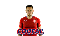 Czech Republic Ceskarepre Sticker by 2score
