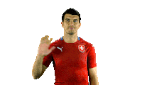 2score ceskarepre mava narodak repre Sticker