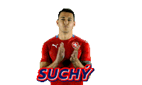 Czech Republic Ceskarepre Sticker by 2score