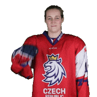 Celebration Hockey Sticker by Národní tým