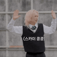 Stray Kids Skz GIF
