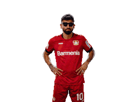 Bayer 04 Deal With It Sticker by Bayer 04 Leverkusen