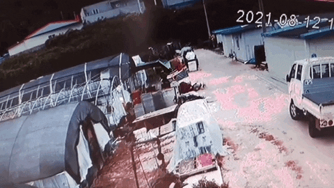 cuteanimalland giphyupload GIF