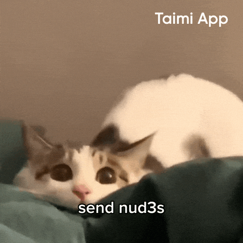 Cats Nudes GIF by Taimi