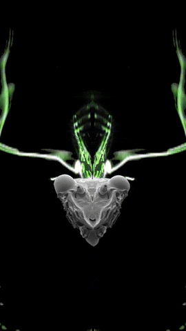 Science Fiction Election GIF by Komplex