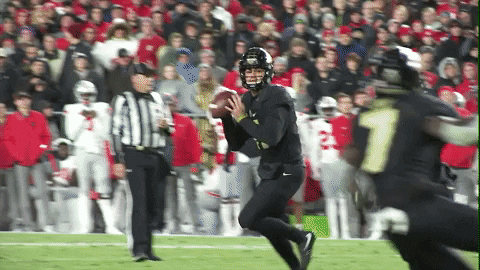 Jeffbrohm Boilerfootball GIF by Purdue Sports