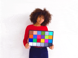entireworld color test entireworld GIF