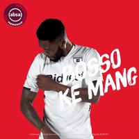 south african soccer GIF