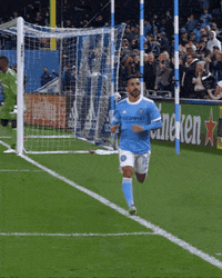 Major League Soccer Football GIF by NYCFC