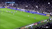 napoli scudetto GIF by nss sports