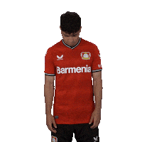 I Know It Hello Sticker by Bayer 04 Leverkusen