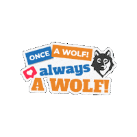 Wolf Wolves Sticker by Colam Institutional Communications