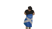 Dr Peacock Scotland Sticker by DVTD MGMT