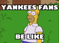 New York Yankees Baseball GIF by Respective