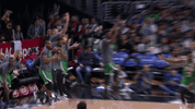 boston celtics applause GIF by NBA