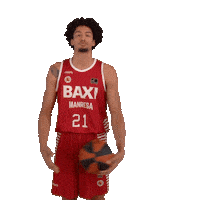 Balling Liga Endesa Sticker by ACB