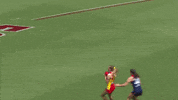 Demon GIF by Melbournefc