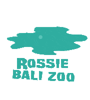 Indonesia Blink Sticker by Bali Zoo