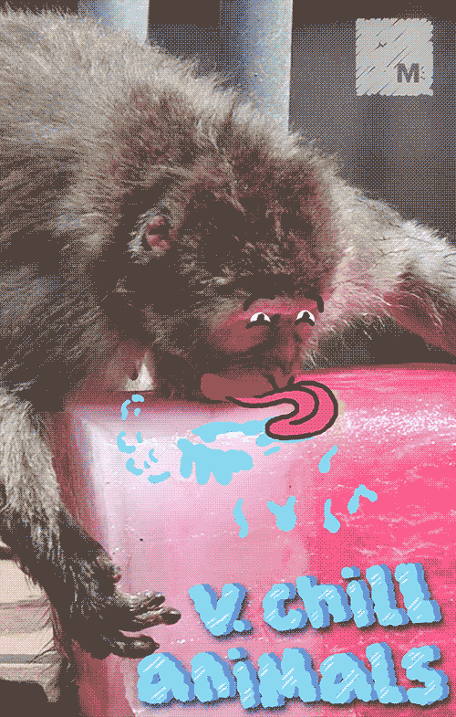 ice monkey GIF by Mashable