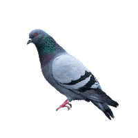 Beer Sticker by Make a Mark Brussels