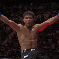Ufc Uzbekistan GIF