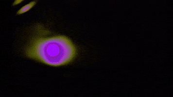 sairalindez analog cinema experimental synthesizer GIF