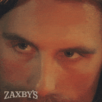 Fox Seriously GIF by Zaxby's