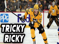 Pittsburgh Penguins Nhl GIF
