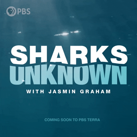 Marine Life Ocean GIF by PBS Digital Studios