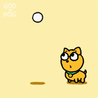 Turn Around Ball GIF by God The Dog