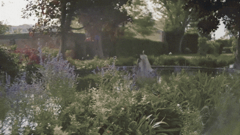 Italy Europe GIF by Casol