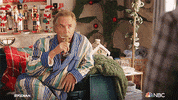 Season 2 Holiday GIF by NBC