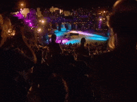 Elton Live GIF by Elton John