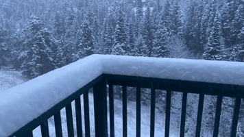 Early-Season Snow Brings Travel Disruption to Colorado