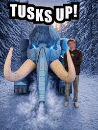 Utah Tusks Up GIF