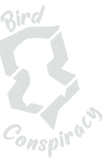 Dancing Sticker by Bird Conspiracy