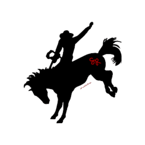 Shopping Texas Sticker by Saddle Rags, The Western Store