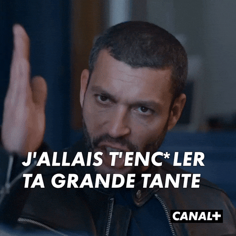 Canal Plus Lol GIF by CANAL+